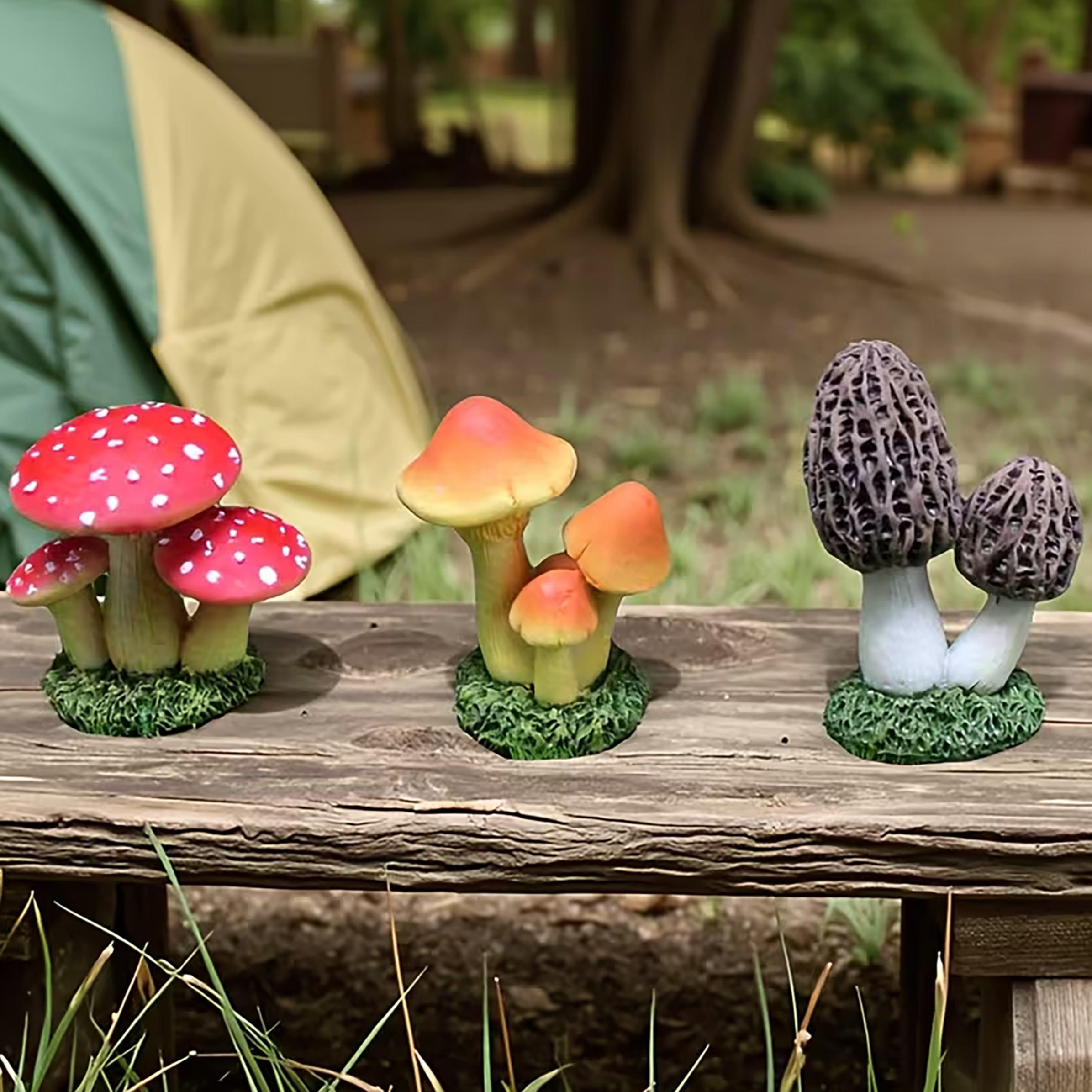 1 Juego de 3 piezas de Adorno  - Terrarium Moss Art reseña y precio